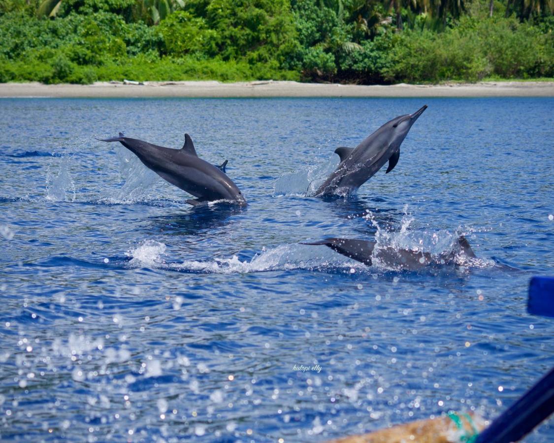 Araya Dive Resort Togean Bomba Exterior foto