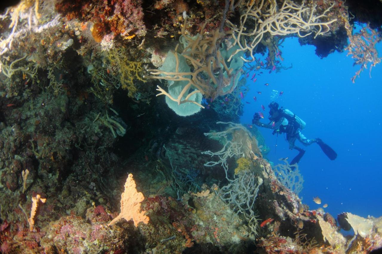 Araya Dive Resort Togean Bomba Exterior foto