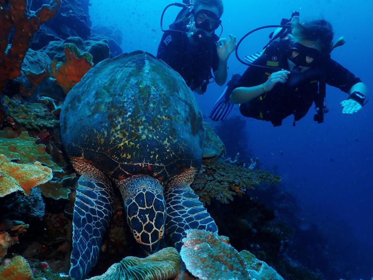 Araya Dive Resort Togean Bomba Exterior foto